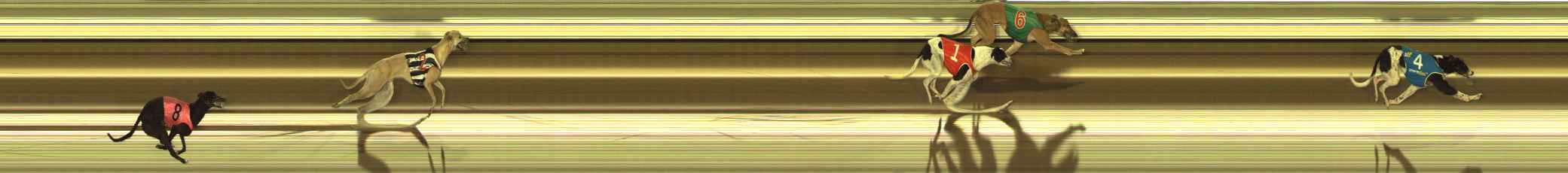 Race result finish photo